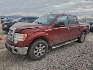 Ford F-150 SUPERCREW 5.0L 8 2014