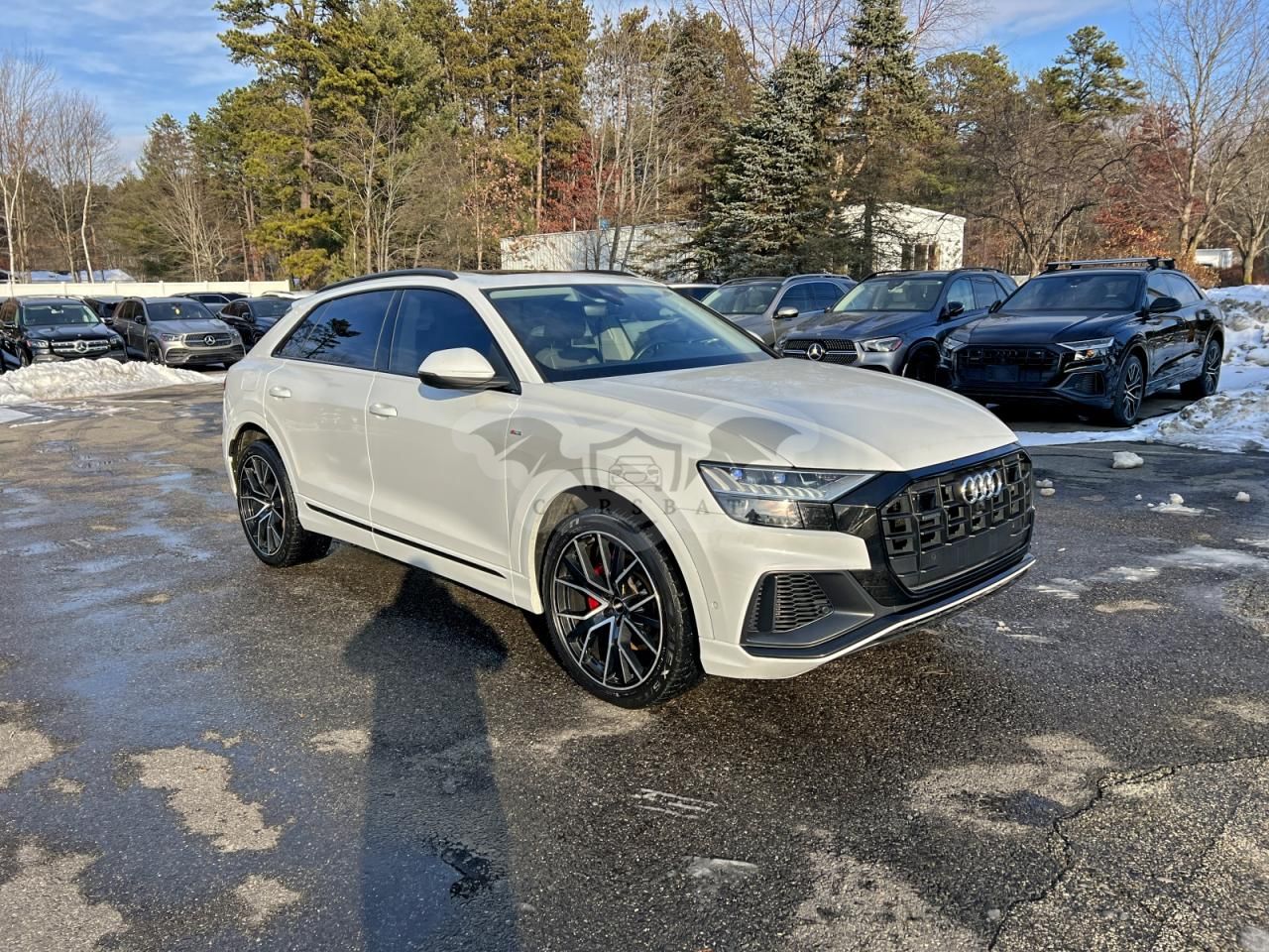 Audi Q8 PREMIUM PLUS S-LINE 3.0L 6 2019