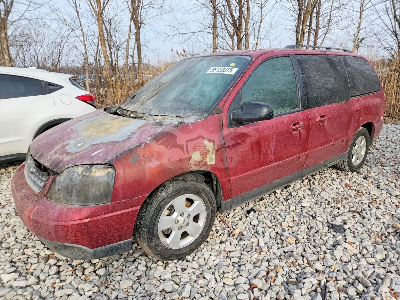 Ford Freestar SES 3.9L 6 2004