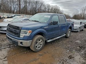 Ford F-150 SUPERCREW 5.0L 8 2014
