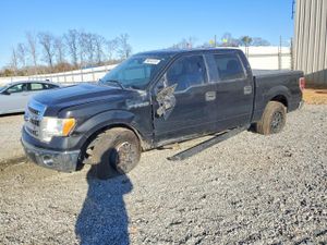 Ford F-150 SUPERCREW 5.0L 8 2013