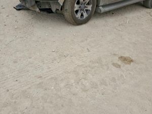 Ford Expedition EDDIE BAUER 5.4L 8 2003