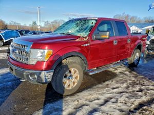 Ford F-150 SUPERCREW 5.0L 8 2014