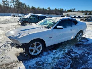 Ford Mustang GT 5.0L 8 2012