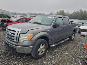 Ford F-150 SUPERCREW 4.6L 8 2010