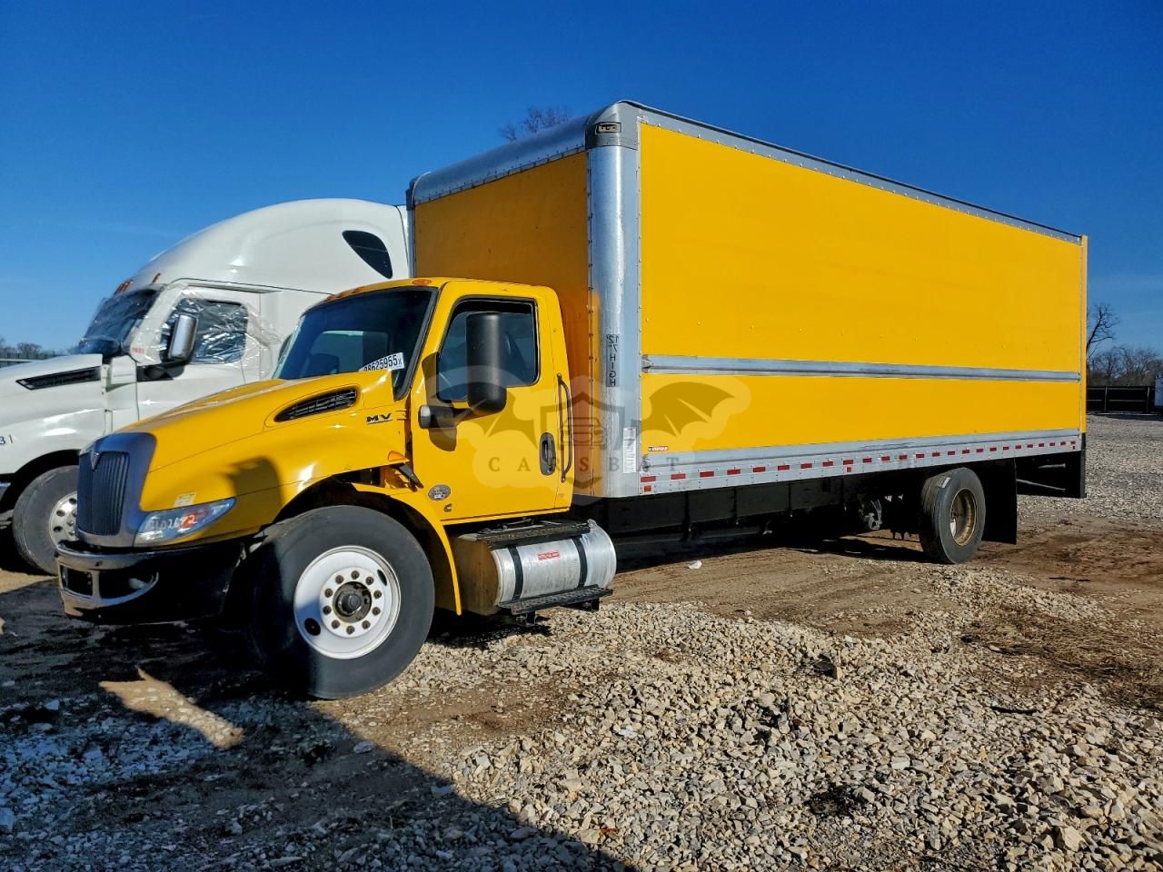 International MV Series 6.7L 6 2022