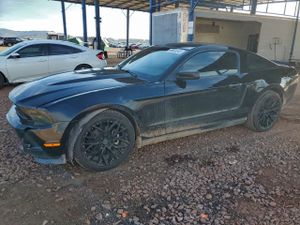 Ford Mustang 3.7L 6 2012