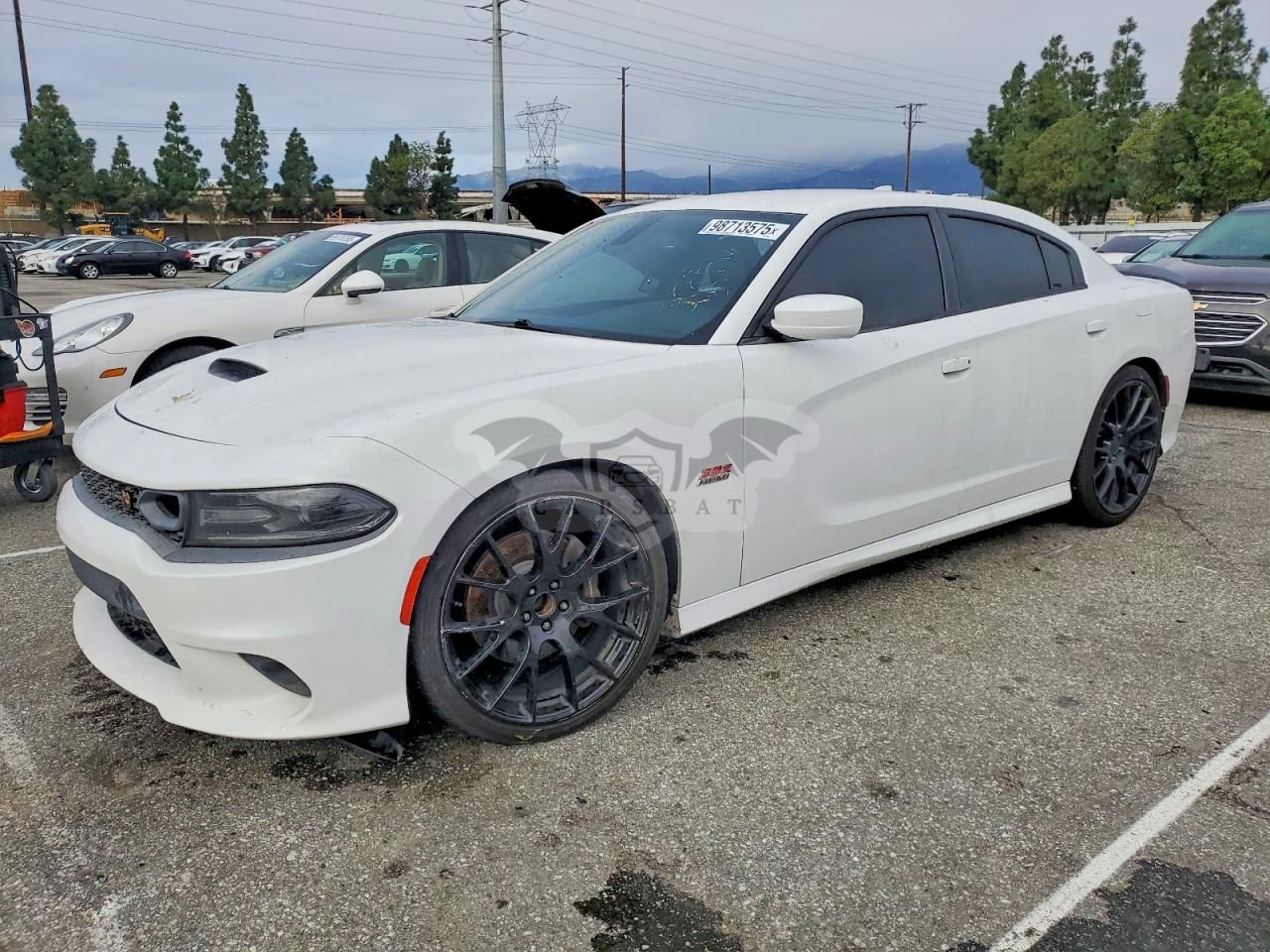 Dodge Challenger SCAT PACK 6.4L 8 2019