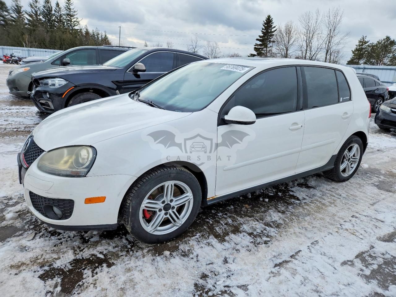 Volkswagen Golf 2.0L 4 2008