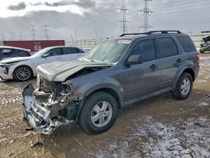 Ford Escape XLT 2.5L 4 2010