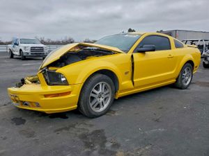 Ford Mustang GT 4.6L 8 2006