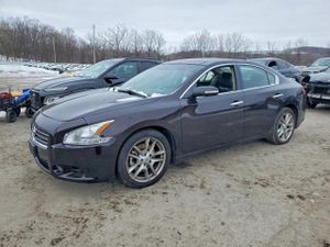 Nissan Maxima 3.5L 6 2011