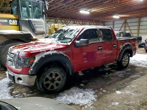 Ford F-150 SUPERCREW 4.6L 8 2009