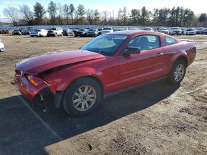 Ford Mustang 4.0L 6 2008
