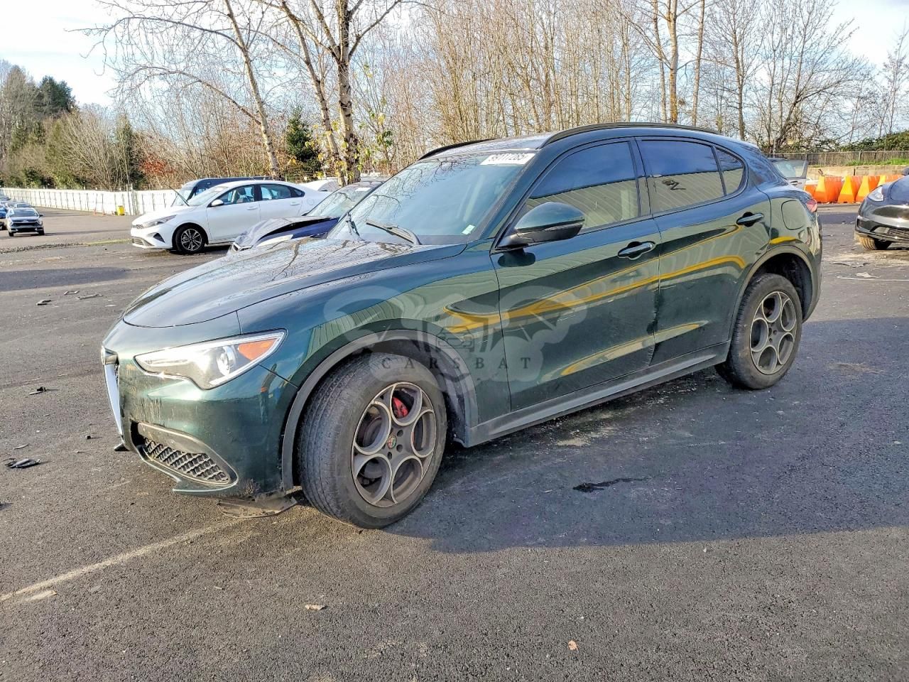 Alfa Romeo Stelvio SPORT 2.0L 4 2018
