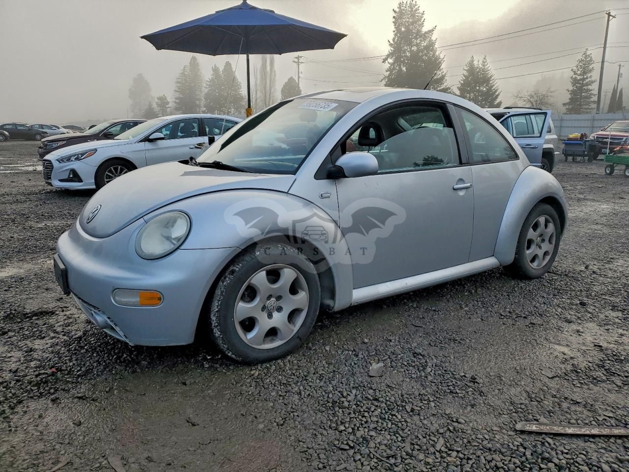 Volkswagen Beetle GLS TDI 1.9L 4 2002