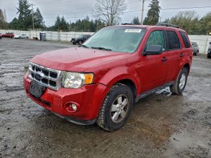 Ford Escape XLT 3.0L 6 2009