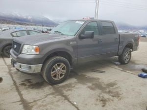 Ford F-150 SUPERCREW 5.4L 8 2005