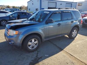Ford Escape XLT 2.5L 4 2010