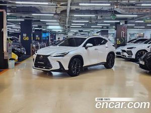 Lexus Nx Premium 2023