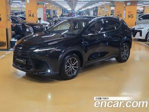 Lexus Nx Premium 2025