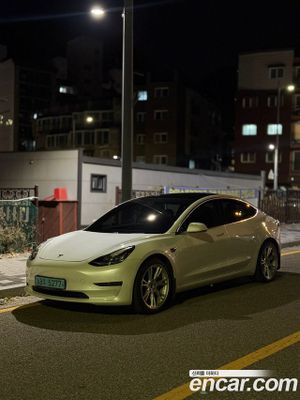 Tesla Model 3 Standard Range Plue 2020