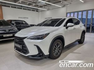 Lexus Nx Premium 2025