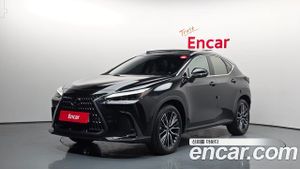 Lexus Nx Luxury 2025