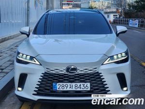 Lexus Rx Luxury 2024