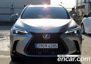 Lexus Nx Premium 2025