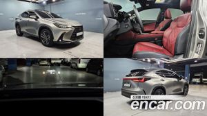 Lexus Nx Luxury 2024