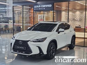 Lexus Nx Premium 2025