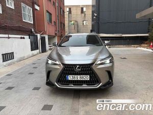 Lexus Nx Premium 2024