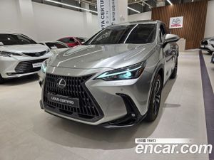 Lexus Nx Luxury 2024