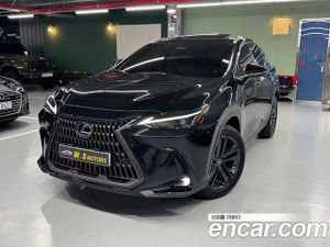 Lexus Nx Premium 2025