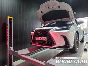 Lexus Nx Premium 2024