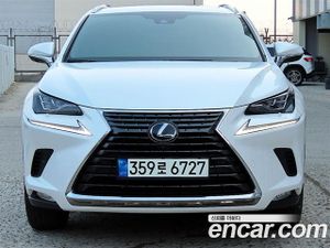 Lexus Nx Executive 2021