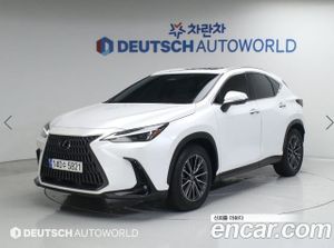Lexus Nx Premium 2023