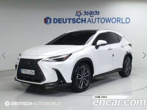 Lexus Nx Luxury 2024