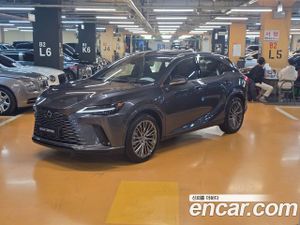 Lexus Rx Luxury 2025