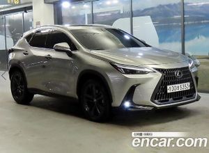 Lexus Nx Premium 2023